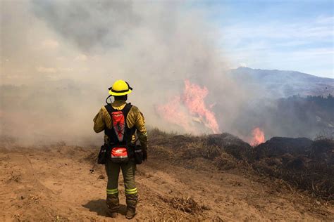 Conozca las 10 provincias más afectadas por incendios forestales