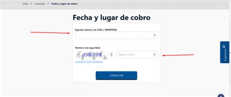 Anses Cuándo Cobro →guía Completa De Consultas Web