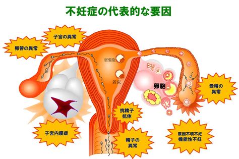 診療内容 ふみのレディースクリニック 大阪府和泉市（和泉中央駅前）の女性のためのレディースクリニックです。