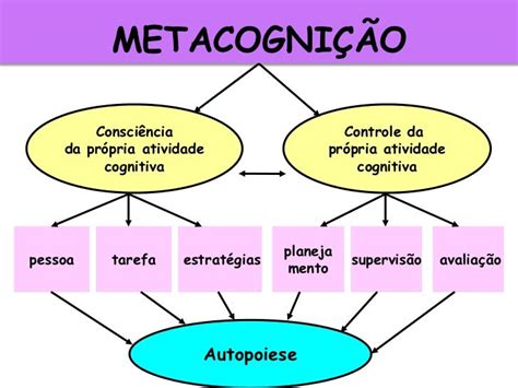 Metacognição O Que É