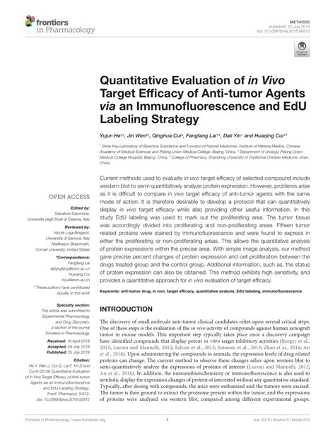 Pdf Quantitative Evaluation Of In Vivo Target Efficacy Of Anti Tumor