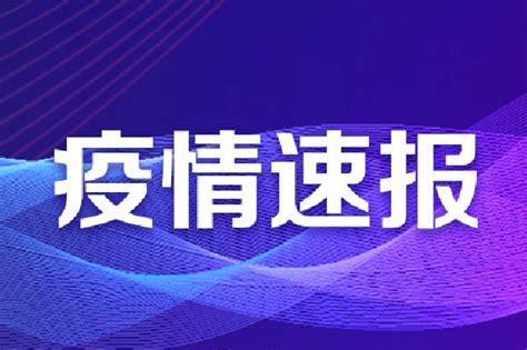 31省份新增确诊病例205例 其中本土病例90例新浪湖北新浪网