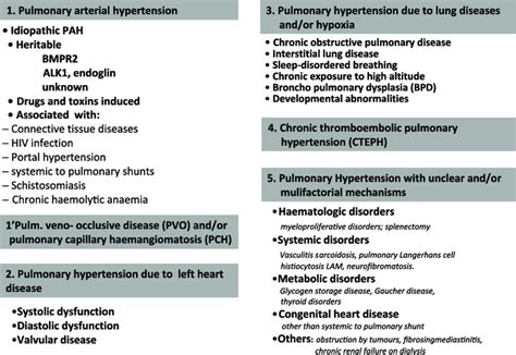 Updated Clinical Classification Of Pulmonary Hypertension According To