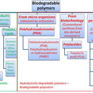 Microstructure And Mechanical Properties Of Biodegradable Poly D L