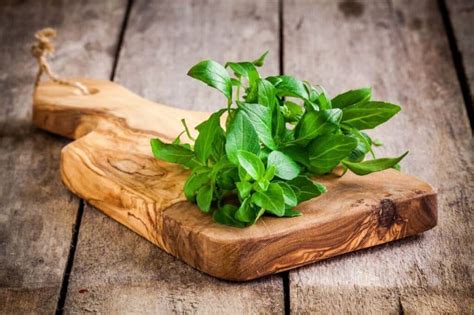 12 Best Natural Anti Inflammatory Herbs And Spices