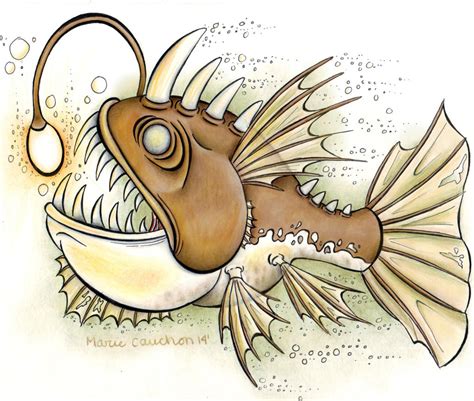 angler fish cartoon drawing