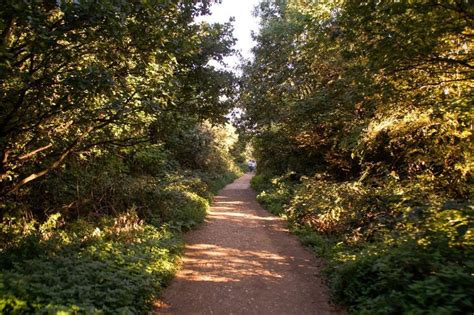 Parkland Walk A Walk That Follows The Route Of An Old Railway Line