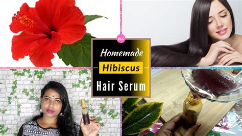 How To Make Hibiscus Hair Serum At Home Homemade Hibiscus Hair Serum