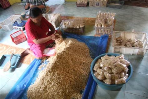 Harga Kedelai Turun Perajin Tempe Di Jatigedong Jombang Bahagia Omzet