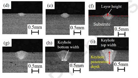 Optical Micrographs Of Single Layer Depositions Cross Sections From