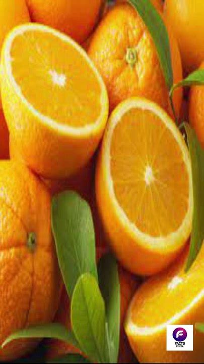 Santra Khane Ke Fayde सतर खन क फयद और नकसन Orange Benefits