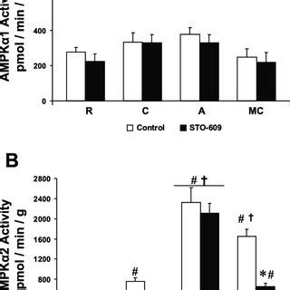 Effect Of CaMKK Inhibition On Activated Protein Kinase AMPK 1 A