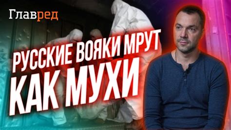 ⚡️ АРЕСТОВИЧ сравнил потери ВСУ и армии РФ Youtube