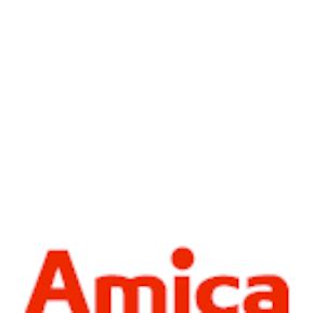 Amica InternationalAmica International logo vector