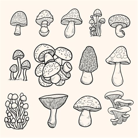 Premium Vector Hand Draw Mushroom Doodle