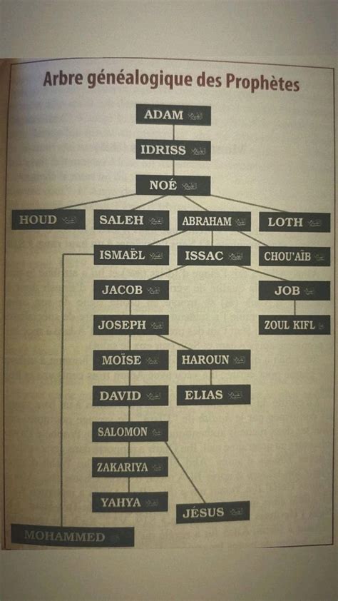 Arbre généalogique des prophète en 2023 Paroles religieuses