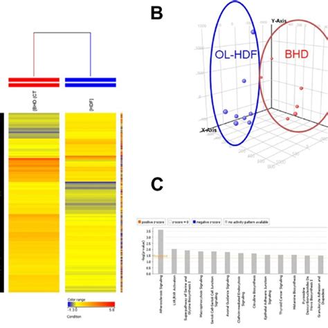 A Hierarchical Clustering Heat Map Of 868 Differentially Expressed Download Scientific Diagram