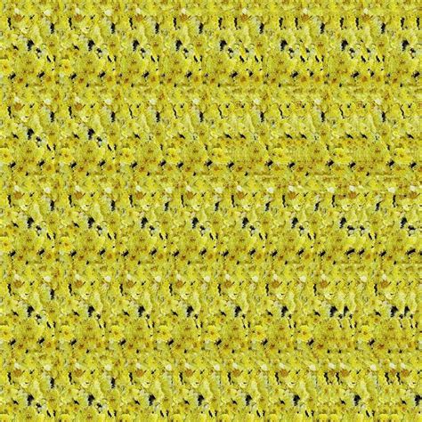 Pin By Lisa Jo On Magic Eye Illusions Stereograms 3ds In 2024