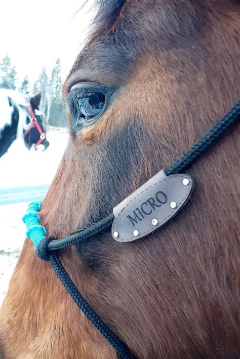 Engraved Leather Horse Name Tag For Rope Halters Etsy