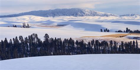 Palouse Winter Panoramas | Aaron Cowan Photography