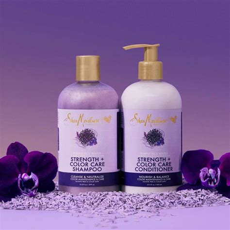 Shea Moisture Purple Rice Water Shampoo Houses And Apartments For Rent