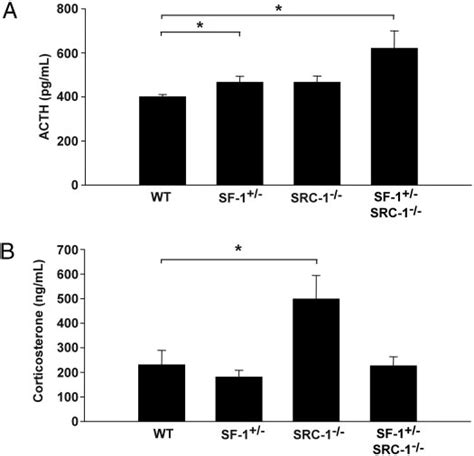 Plasma Acth A And Corticosterone B Levels In Wt Sf Src