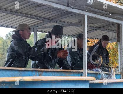 Fishing of the castle pond in Moritzburg Stock Photo - Alamy