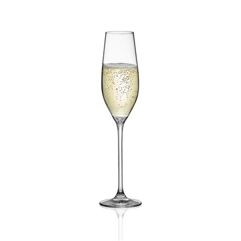 Rona Celebration Champagne Flute Rona Usa