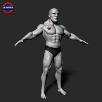 Cartoon Stylized Male Body V D Model By Anshu Dartist