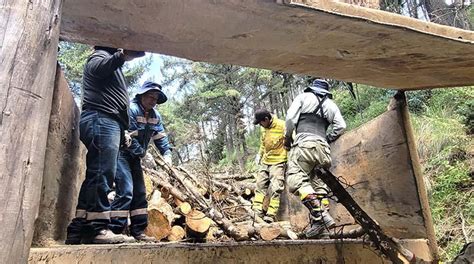 Retiran 150 Toneladas De Troncos Y Ramas Para Prevenir Incendios En El