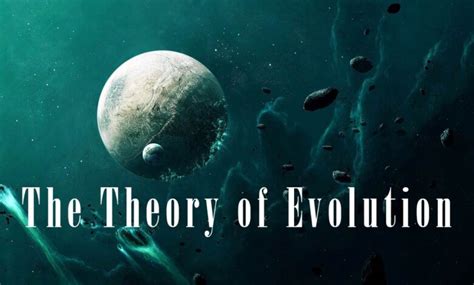 evolution dinoanimalscom