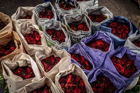 Roses For Sale At A Market Editorial Photo Image Of Thailand 99143821