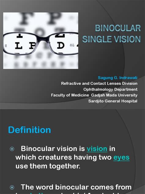 Binocular Vision | PDF | Visual Perception | Eye