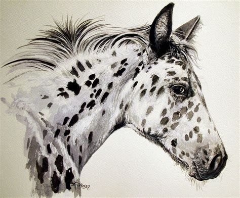 Appaloosa Horse Painting at PaintingValley.com | Explore collection of Appaloosa Horse Painting