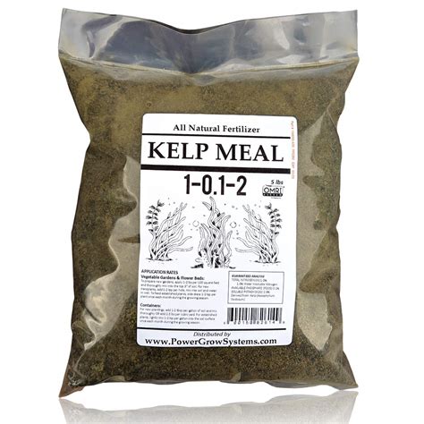 Best Kelp Fertilizers For Every Need: Ultimate Reviews – Www.deerfarms.com