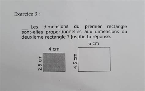 Aidez Moi S Il Vous Pla T Devoir Remettre Et Je Doit Bien D Taill