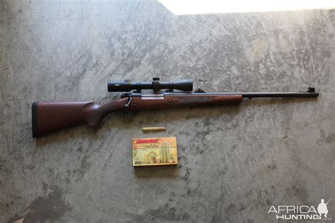 Winchester Model 70 Safari 375 H&H Magnum Rifle | AfricaHunting.com