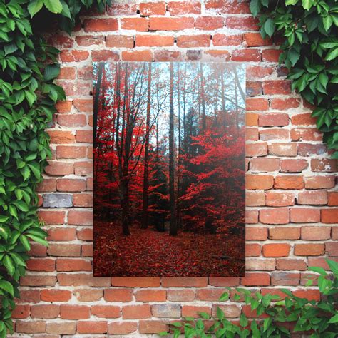 Printed Outdoor Garden Wall Art Panels – Red Forest – Gardening Gifts ...