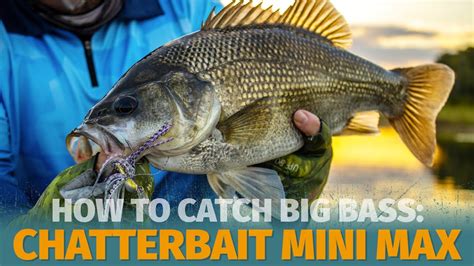 How To Catch Bass Fishing The Zman Chatterbait Mini Max For