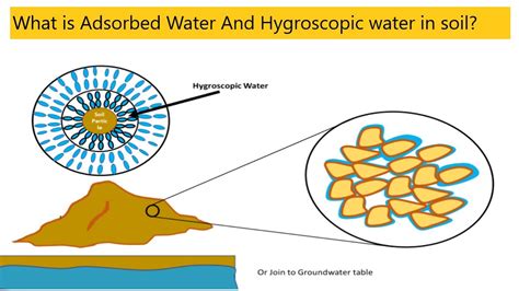 What Is Adsorbed Water And Hygroscopic Water In Soil Youtube