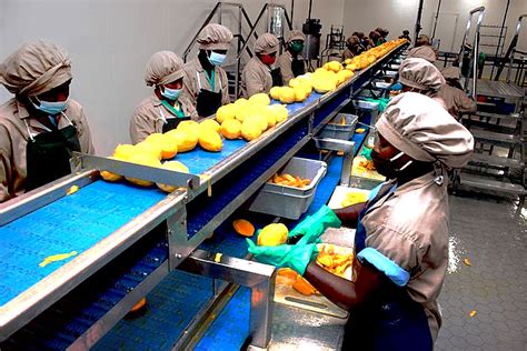 INDUSTRIALISATION UNE USINE DE TRANSFORMATION DE FRUITS SECHES DE 3