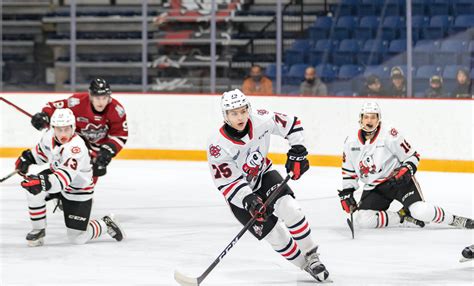 Icedogs Season Preview Bp Sports Niagara