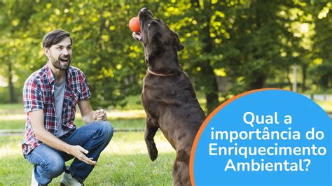 Blog Qual A Import Ncia Do Enriquecimento Ambiental