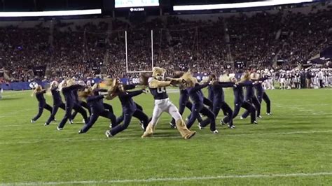 Byu Mascot Cosmo Cougar And The Cougarettes Throw Down An Incredible Dance Routine