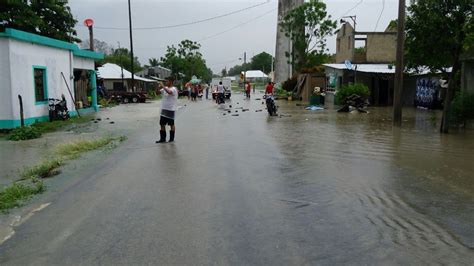 La Jornada Maya Yucatán La Jornada Maya Inundaciones árboles