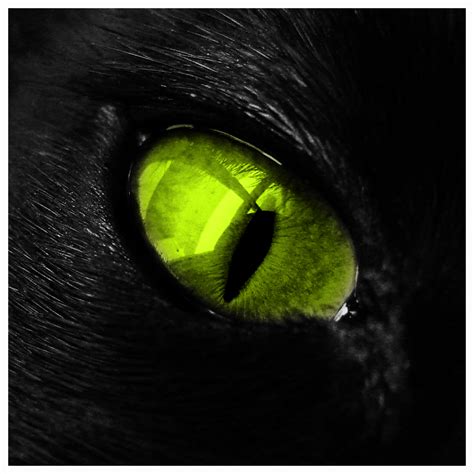 Green Cat Eye by HAchaosagent on DeviantArt