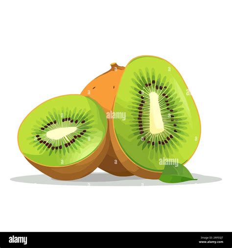 Kiwi Fruit Image Of Fresh Kiwi Fruit Sliced Kiwi In Flat Design