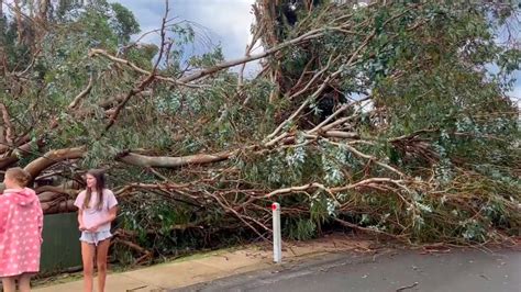 Sydney Storms Thousands Still Without Power Christmas Lunch Binned