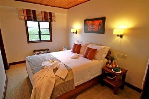 The Ark Lodge Aberdare National Park Kenia Foto S Reviews En