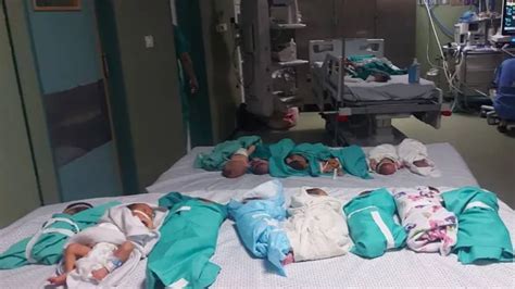 Des bébés commencent à mourir alors quIsraël assiège lhôpital Al Shifa